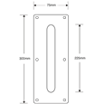 ASEC Plate Mounted 75mm Stainless Steel Pull Handle