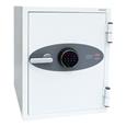 Phoenix DS2500 Series Data Safes (LEAD TIME: 3-5 DAYS)