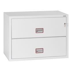 Phoenix FS2410 Series Fire Files (LEAD TIME: 5-7 DAYS)