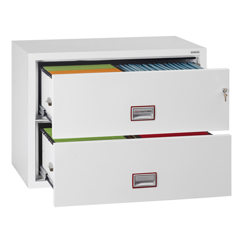 Phoenix FS2410 Series Fire Files (LEAD TIME: 5-7 DAYS)