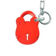 NKS100 Accessible padlock