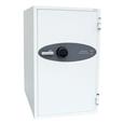 Phoenix DS4620 Series Data Safes (LEAD TIME: 5-7 DAYS)